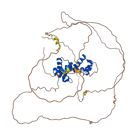 ONECUT1 3D structure