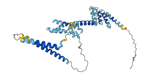NFKBIL1 3D structure
