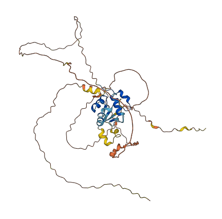 HSFX1 3D structure