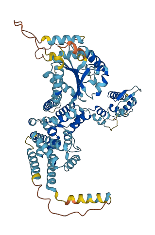 ORC3 3D structure