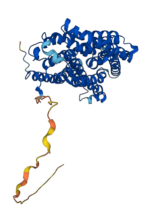 RHCG 3D structure
