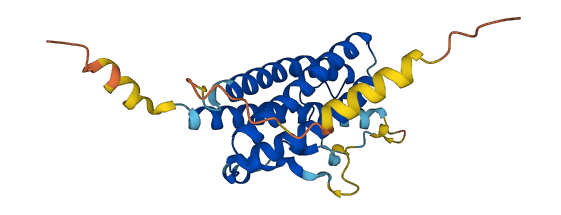 CLCF1 3D structure