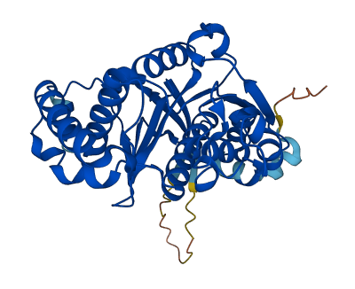 SAE1 3D structure
