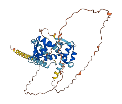 MAGEC2 3D structure