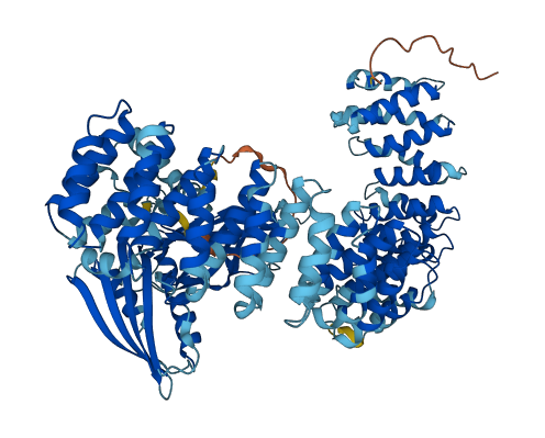 COPG2 3D structure