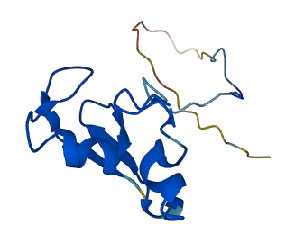 RNF7 3D structure