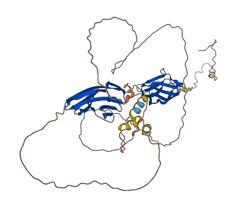 MYOT 3D structure