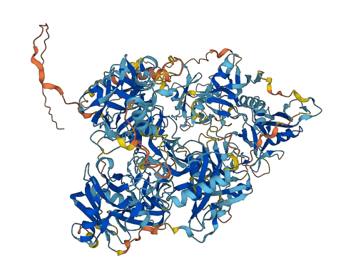 MRC2 3D structure