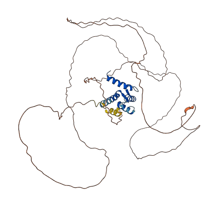 CRNN 3D structure