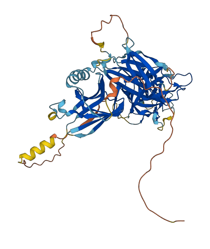 RBPJL 3D structure