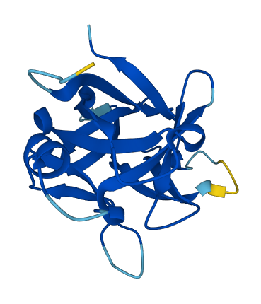 IL36RN 3D structure