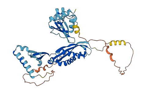 STOML1 3D structure