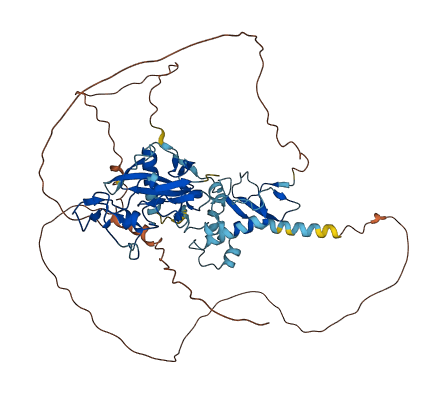 HECA 3D structure