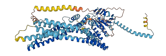 ABCD2 3D structure