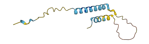 HCST 3D structure