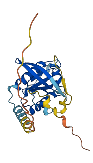 RABL2A 3D structure