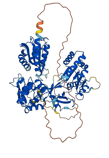 MTRR 3D structure