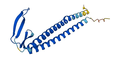 UXT 3D structure