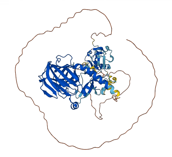 ASH2L 3D structure