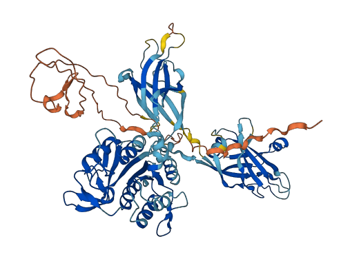 CPNE7 3D structure