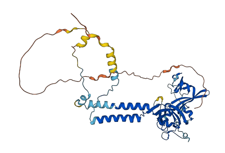 P2RX2 3D structure