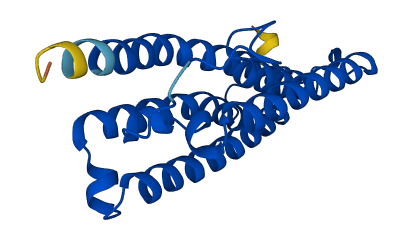 PEMT 3D structure