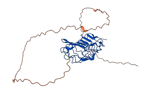 OPTC 3D structure