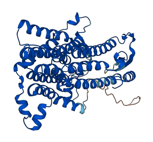 DHCR7 3D structure