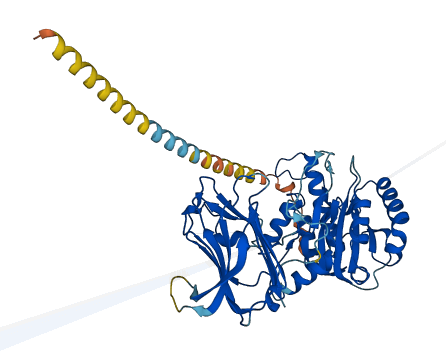 MGAT4C 3D structure