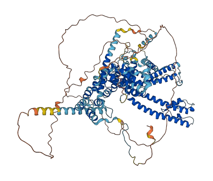 TRPC4 3D structure