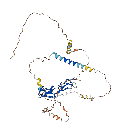TNFRSF10D 3D structure