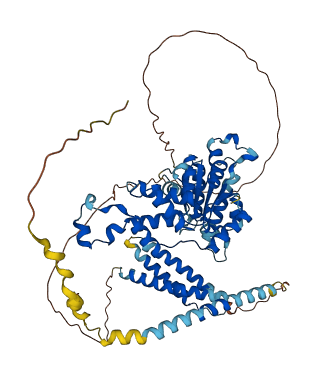 SPAST 3D structure