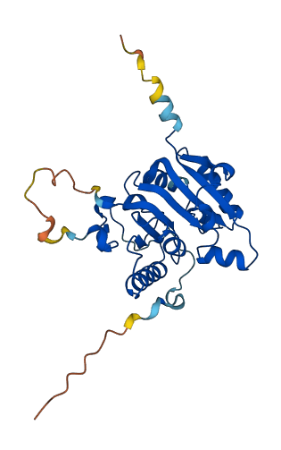 METTL1 3D structure