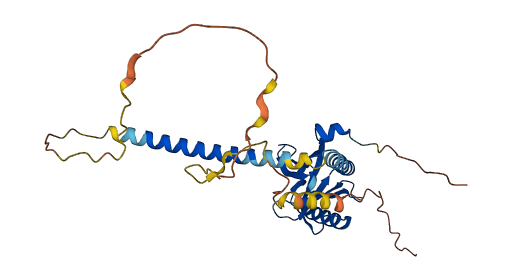GULP1 3D structure