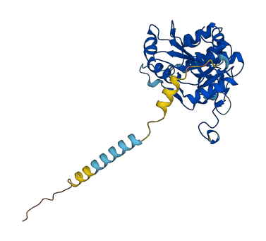 EXTL2 3D structure