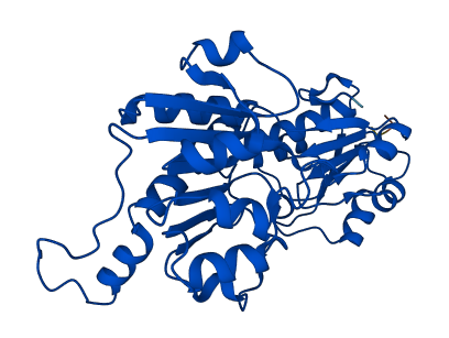 GRHPR 3D structure