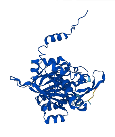 UPB1 3D structure