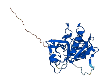 CTSZ 3D structure