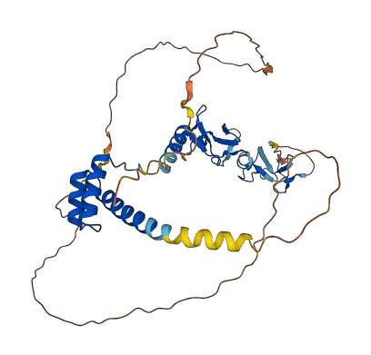 LHX3 3D structure