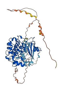 RPS6KB2 3D structure