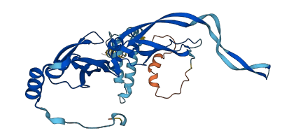 DNAJB11 3D structure