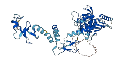 RNF14 3D structure