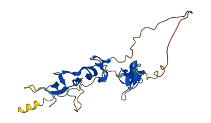 DKK4 3D structure