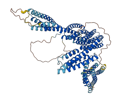 CTNNAL1 3D structure