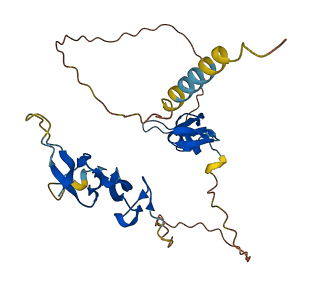 DKK2 3D structure