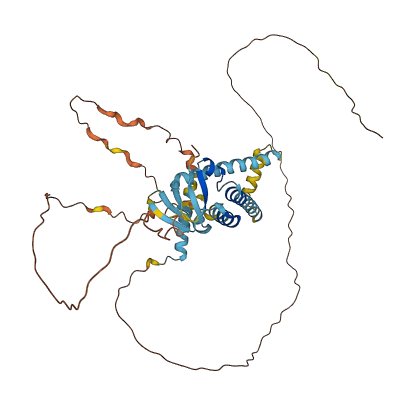 FAM8A1 3D structure