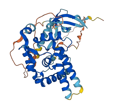 MORF4L1 3D structure