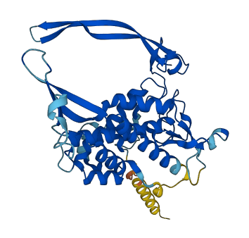 WNT16 3D structure
