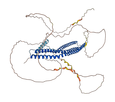 BIN2 3D structure