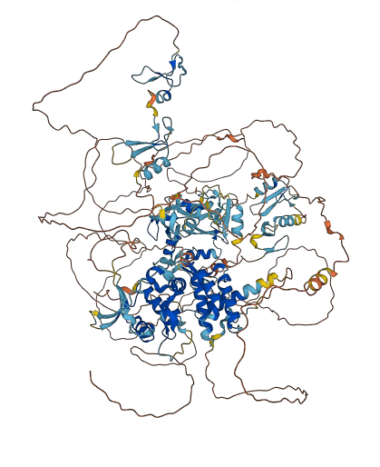 ZMYM2 3D structure
